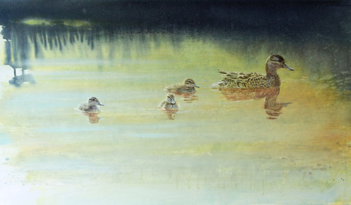 Family, Mallard / Familj, Gräsand