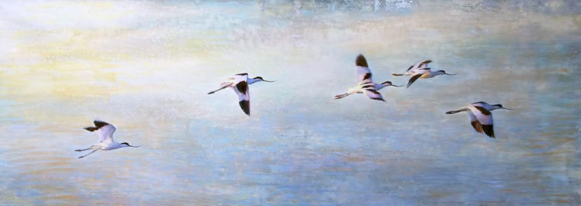 Temporary Escape, Avocets / Tillfällig flykt, Skärfläckor 🔴