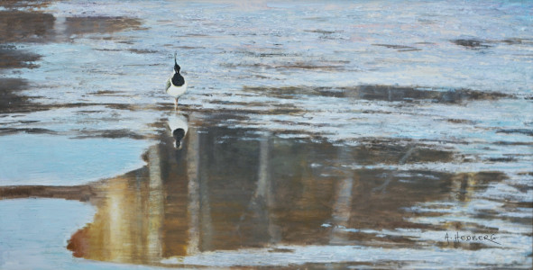 Snowmelt, Lapwing / Snösmältning, Tofsvipa