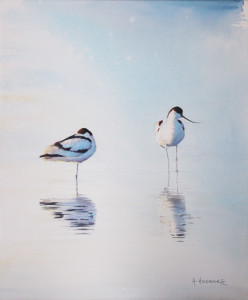 Serenity, avocets I / Stillhet, skärfläcka I