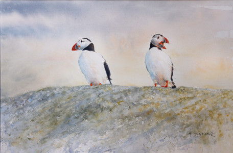Puffins / Lunne