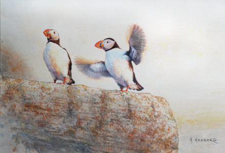Puffins / Lunne