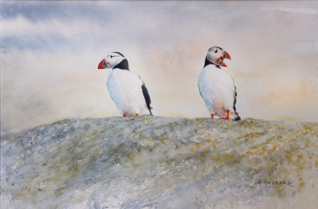 Puffins / Lunne