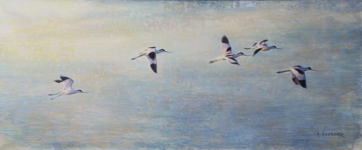 Temporary escape, avocets / Tillfällig flykt, skärfläcka