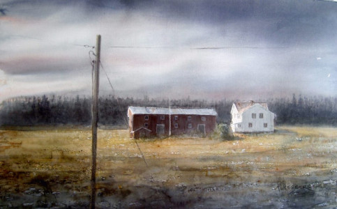 After rain / Efter regn